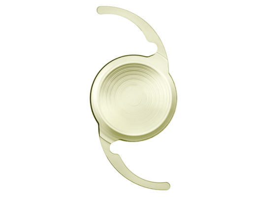 Lens